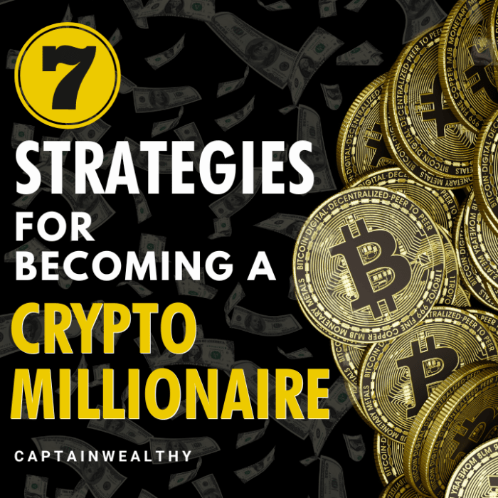 The ultimate guide to becoming a crypto millionaire strategies tips and case study