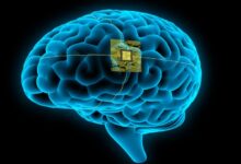 Unveiling the future neuralinks quest to enable mind controlled computers