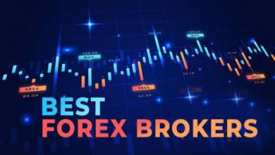 The role of forex brokers your ultimate guide to choosing the perfect partner for successful trading