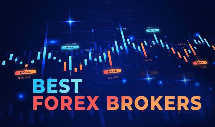 The role of forex brokers your ultimate guide to choosing the perfect partner for successful trading