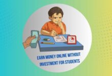 Passive income ideas for students without investment