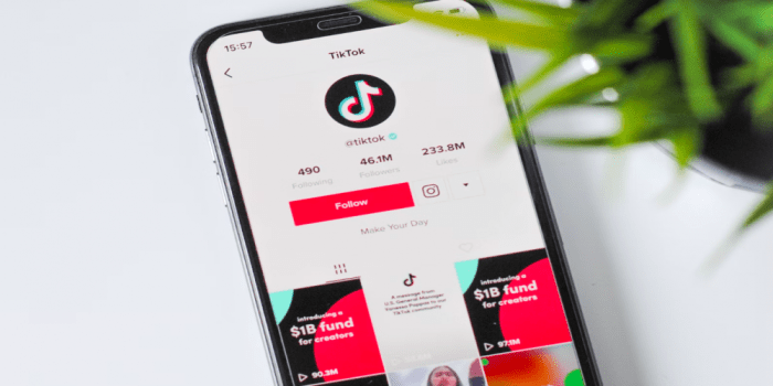 Tiktok tips and tricks mastering the art of creating engaging content