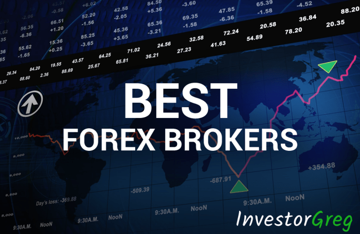 The role of forex brokers your ultimate guide to choosing the perfect partner for successful trading