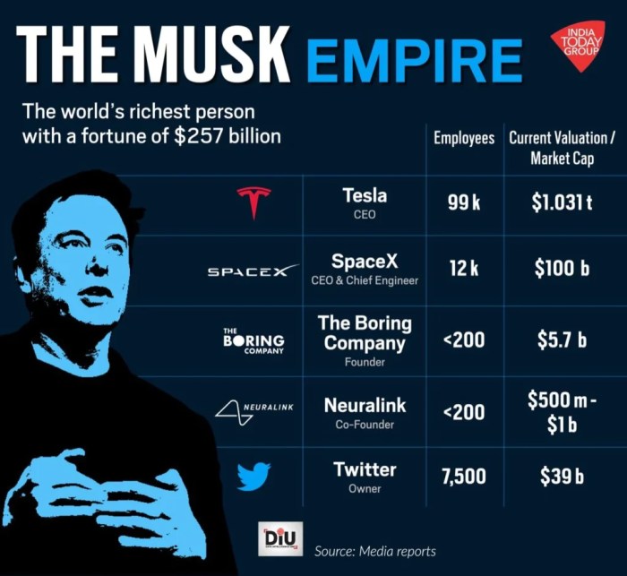 Elon musk value per user