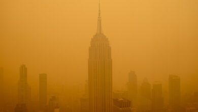 New york chokes on unprecedented smog crisis as global air pollution worsens