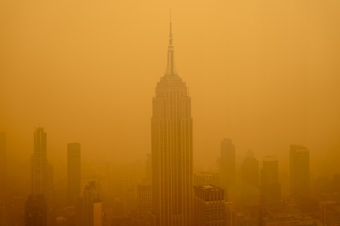 New york chokes on unprecedented smog crisis as global air pollution worsens