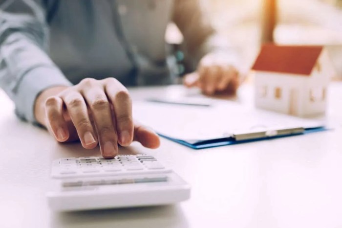 Maximizing home loan repayment exploring the pros and cons of various approaches