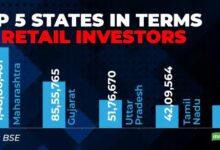 The rise of retail investors how individuals are shaping the us stock market