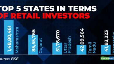 The rise of retail investors how individuals are shaping the us stock market