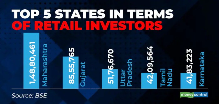 The rise of retail investors how individuals are shaping the us stock market