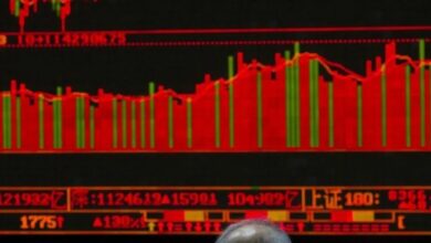 Chinese mutual fund houses inject 119 million amidst stock market turbulence