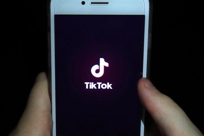 Landmark fine tiktok faces 345 million penalty for eu data violation