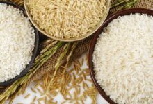 Indias new rice export rules what you need to know