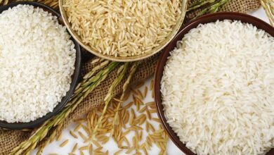 Indias new rice export rules what you need to know