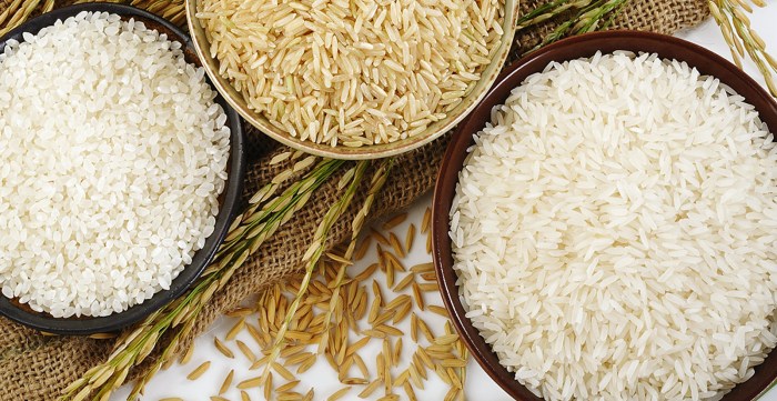 Indias new rice export rules what you need to know