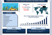 Tesla dominance in chinas ev market driven by record breaking deliveries