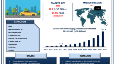 Tesla dominance in chinas ev market driven by record breaking deliveries