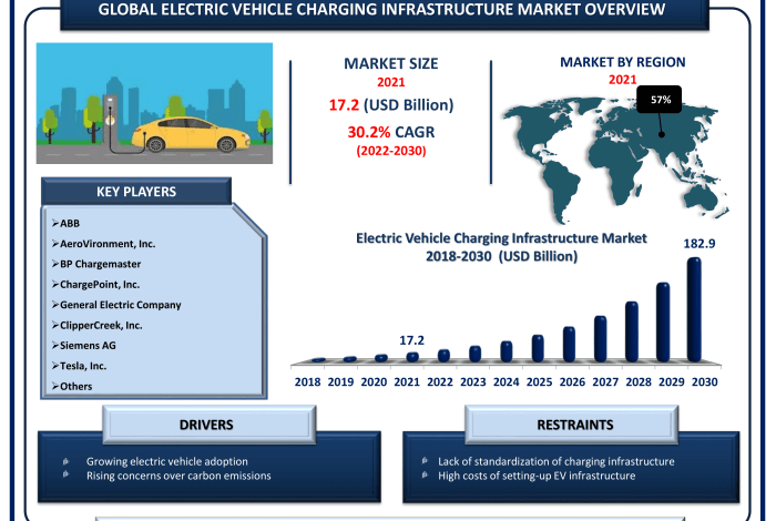 Tesla dominance in chinas ev market driven by record breaking deliveries