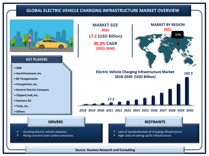 Tesla dominance in chinas ev market driven by record breaking deliveries