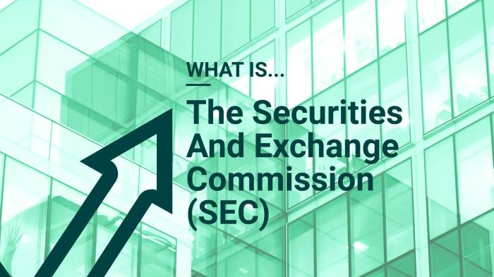 Sec implements new rule for treasury market dealers what you need to know