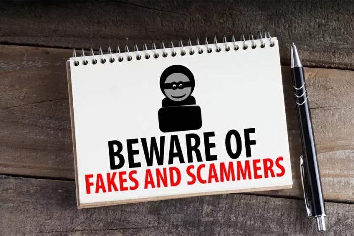 Protect yourself from vacation scammers expert tips for a worry free getaway