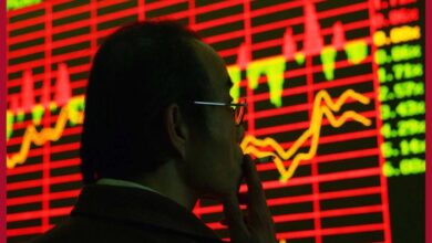 China stock market faces setback in november amid economic concerns