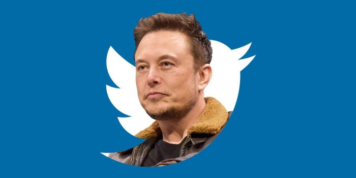 Exclusive elon musk confirms upcoming twitter video app for smart tvs