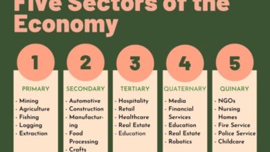 Us service sector sees modest slowdown in september economic insights