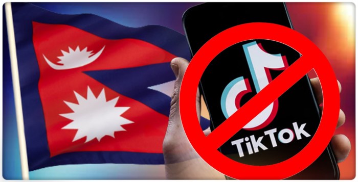 Nepal decides to say goodbye to tiktok pending decision date