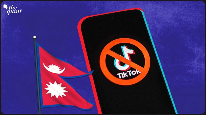 Nepal decides to say goodbye to tiktok pending decision date