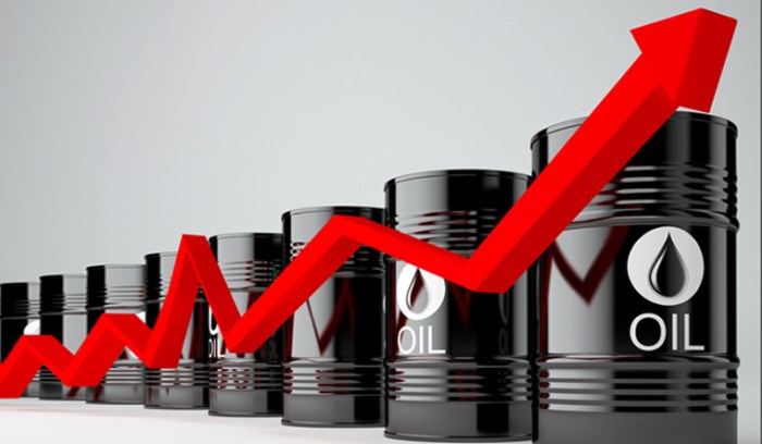 Oil prices hit five month low due to high us exports and opec doubts