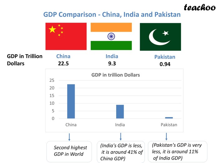 Understanding the growth dynamics a comparative analysis of the indian and chinese economies