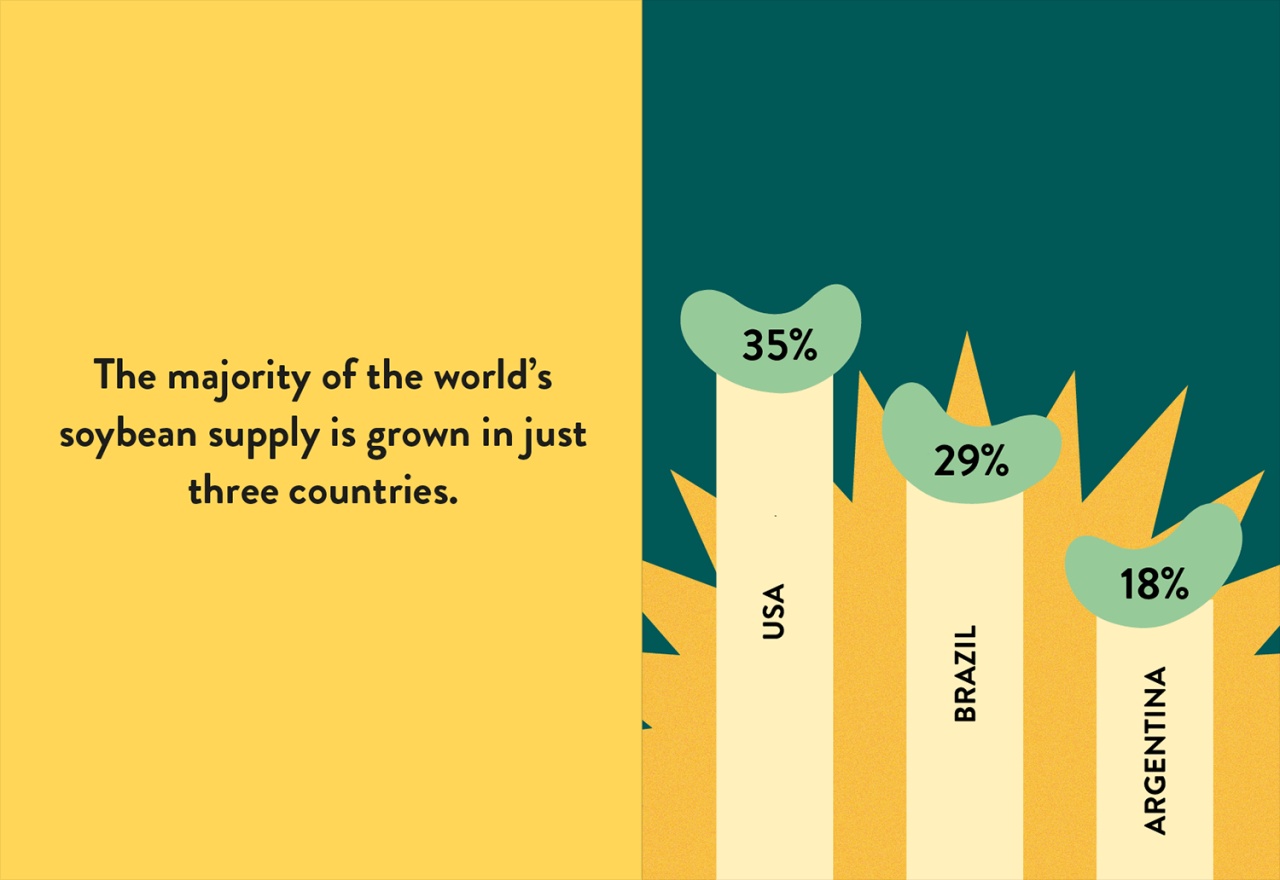 Big companies promise to protect nature in south america no more harmful soy