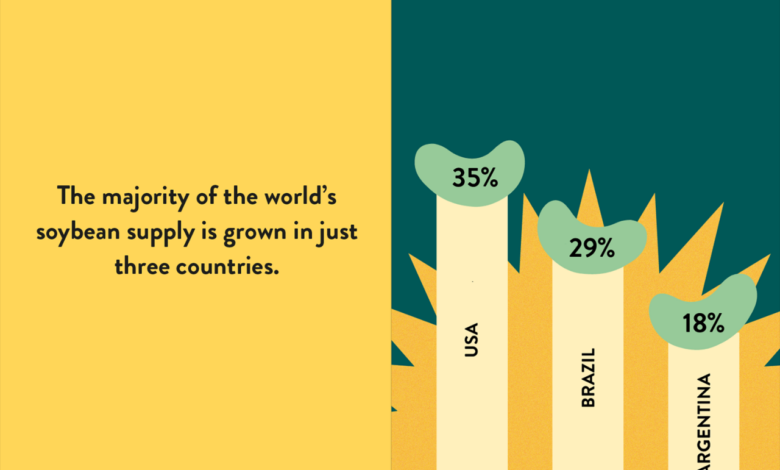 Big companies promise to protect nature in south america no more harmful soy