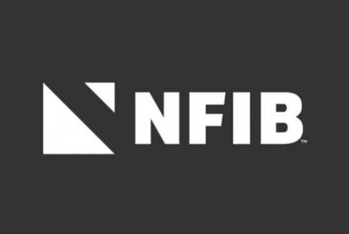 Us small business confidence dips nfibs november report reveals challenges