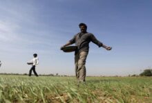 India allocates 48 billion for food and fertilizer subsidies in the upcoming year