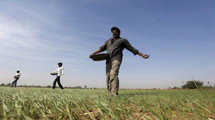 India allocates 48 billion for food and fertilizer subsidies in the upcoming year